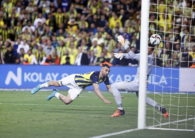 但面对强悍 但面对强悍