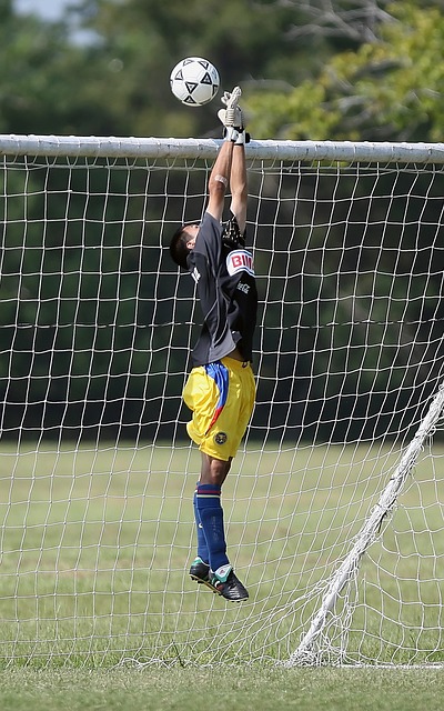 取得这么多 取得这么多