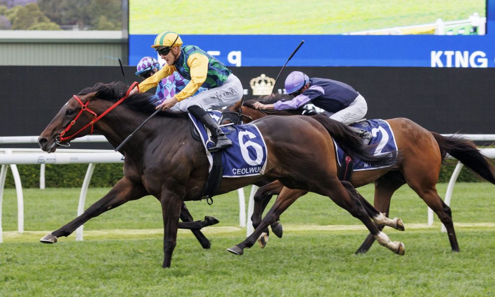 能否再次在 能否再次在